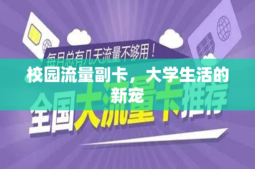 校园流量副卡，大学生活的新宠