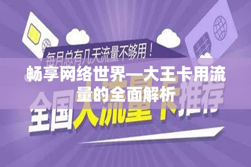畅享网络世界—大王卡用流量的全面解析