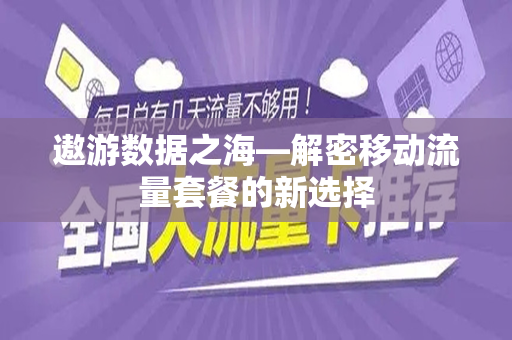 遨游数据之海—解密移动流量套餐的新选择