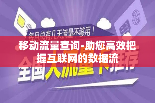 移动流量查询-助您高效把握互联网的数据流