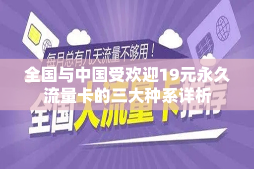 全国与中国受欢迎19元永久流量卡的三大种系详析