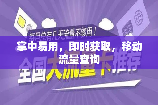 掌中易用，即时获取，移动流量查询