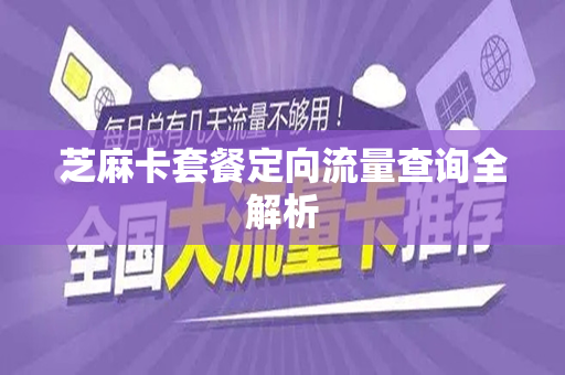 芝麻卡套餐定向流量查询全解析