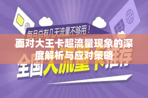 面对大王卡超流量现象的深度解析与应对策略