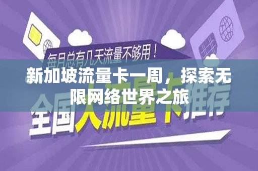 新加坡流量卡一周，探索无限网络世界之旅