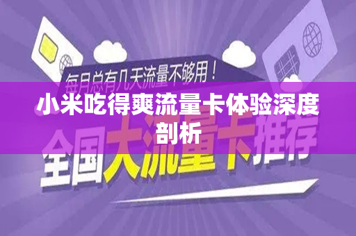 小米吃得爽流量卡体验深度剖析