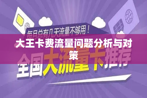大王卡费流量问题分析与对策