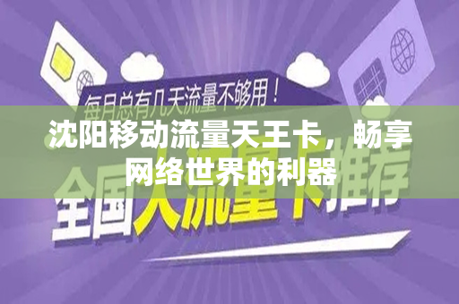 沈阳移动流量天王卡，畅享网络世界的利器