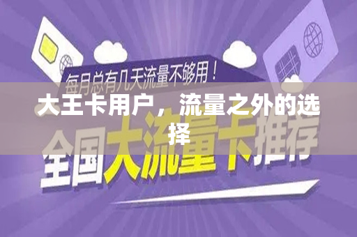 大王卡用户，流量之外的选择