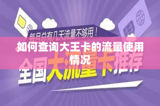如何查询大王卡的流量使用情况