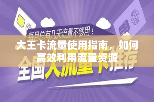 大王卡流量使用指南，如何高效利用流量资源