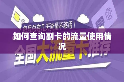 如何查询副卡的流量使用情况