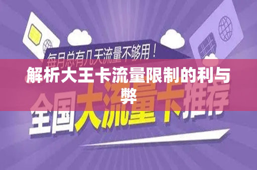 解析大王卡流量限制的利与弊