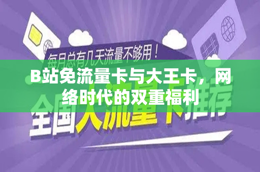 B站免流量卡与大王卡，网络时代的双重福利