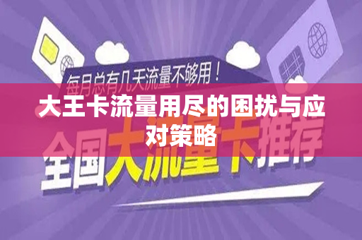 大王卡流量用尽的困扰与应对策略