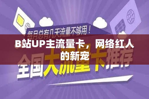 B站UP主流量卡，网络红人的新宠