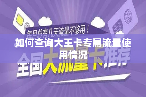 如何查询大王卡专属流量使用情况