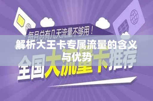 解析大王卡专属流量的含义与优势