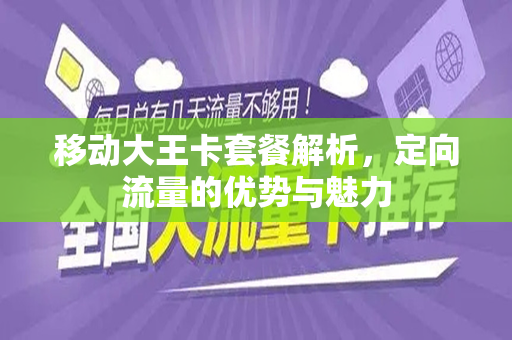 移动大王卡套餐解析，定向流量的优势与魅力