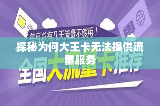 探秘为何大王卡无法提供流量服务