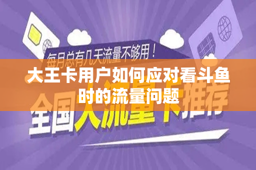 大王卡用户如何应对看斗鱼时的流量问题