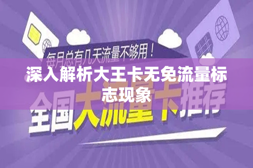 深入解析大王卡无免流量标志现象