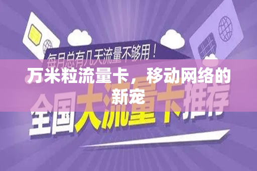 万米粒流量卡，移动网络的新宠