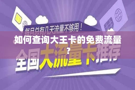 如何查询大王卡的免费流量？