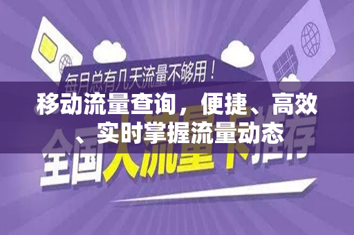 移动流量查询，便捷、高效、实时掌握流量动态