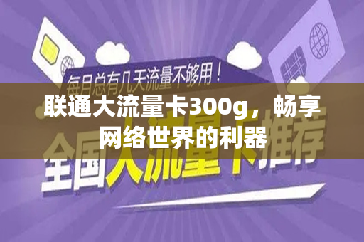 联通大流量卡300g，畅享网络世界的利器