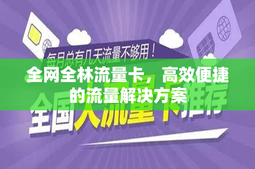 全网全林流量卡，高效便捷的流量解决方案