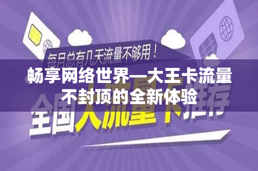 畅享网络世界—大王卡流量不封顶的全新体验