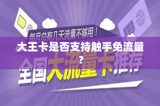 大王卡是否支持触手免流量？