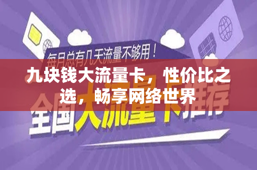 九块钱大流量卡，性价比之选，畅享网络世界