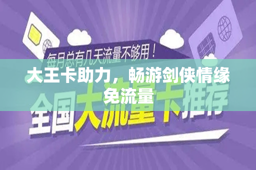 大王卡助力，畅游剑侠情缘免流量