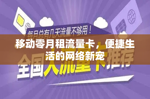 移动零月租流量卡，便捷生活的网络新宠