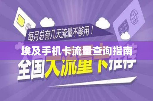 埃及手机卡流量查询指南