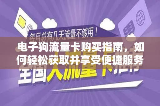 电子狗流量卡购买指南，如何轻松获取并享受便捷服务