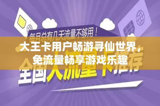 大王卡用户畅游寻仙世界，免流量畅享游戏乐趣