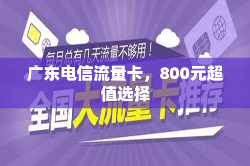 广东电信流量卡，800元超值选择