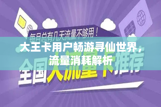大王卡用户畅游寻仙世界，流量消耗解析