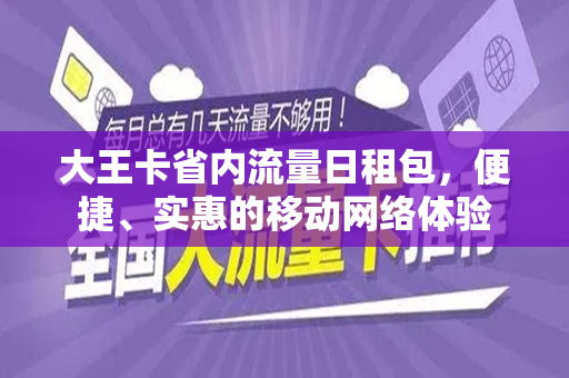 大王卡省内流量日租包，便捷、实惠的移动网络体验