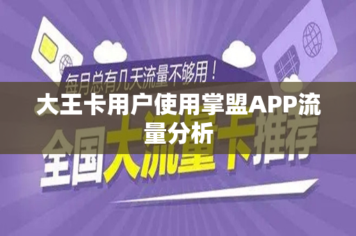 大王卡用户使用掌盟APP流量分析