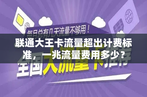 联通大王卡流量超出计费标准，一兆流量费用多少？