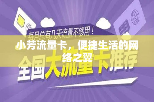 小芳流量卡，便捷生活的网络之翼