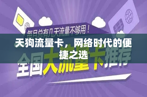 天狗流量卡，网络时代的便捷之选