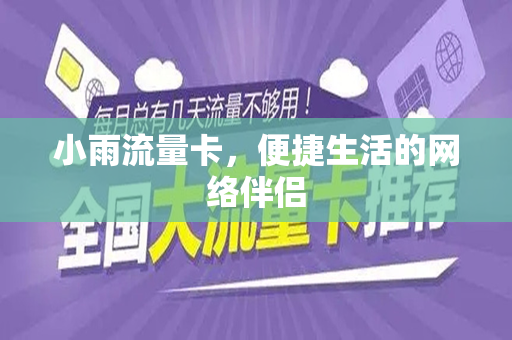 小雨流量卡，便捷生活的网络伴侣