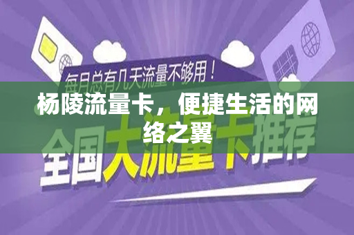 杨陵流量卡，便捷生活的网络之翼