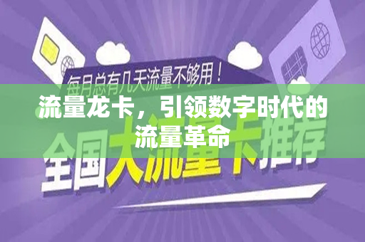 流量龙卡，引领数字时代的流量革命