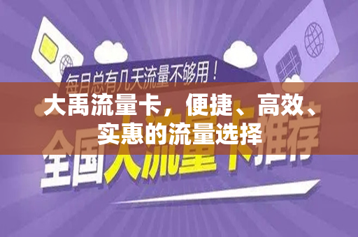 大禹流量卡，便捷、高效、实惠的流量选择